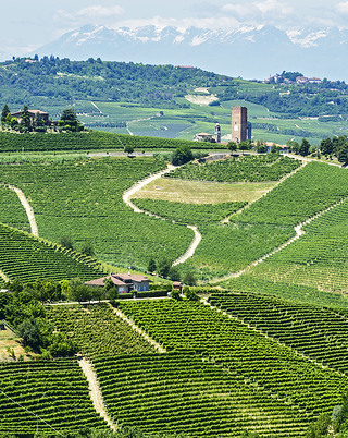 langhe ԰