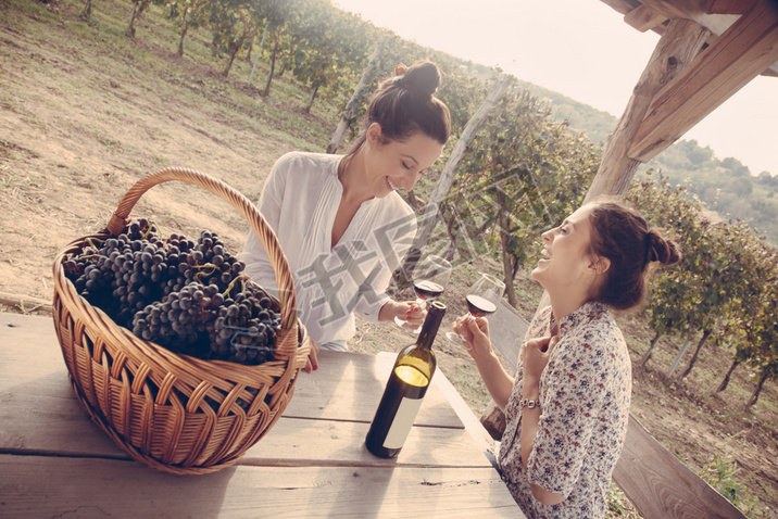 Two Cheerful Female Drinking Wine