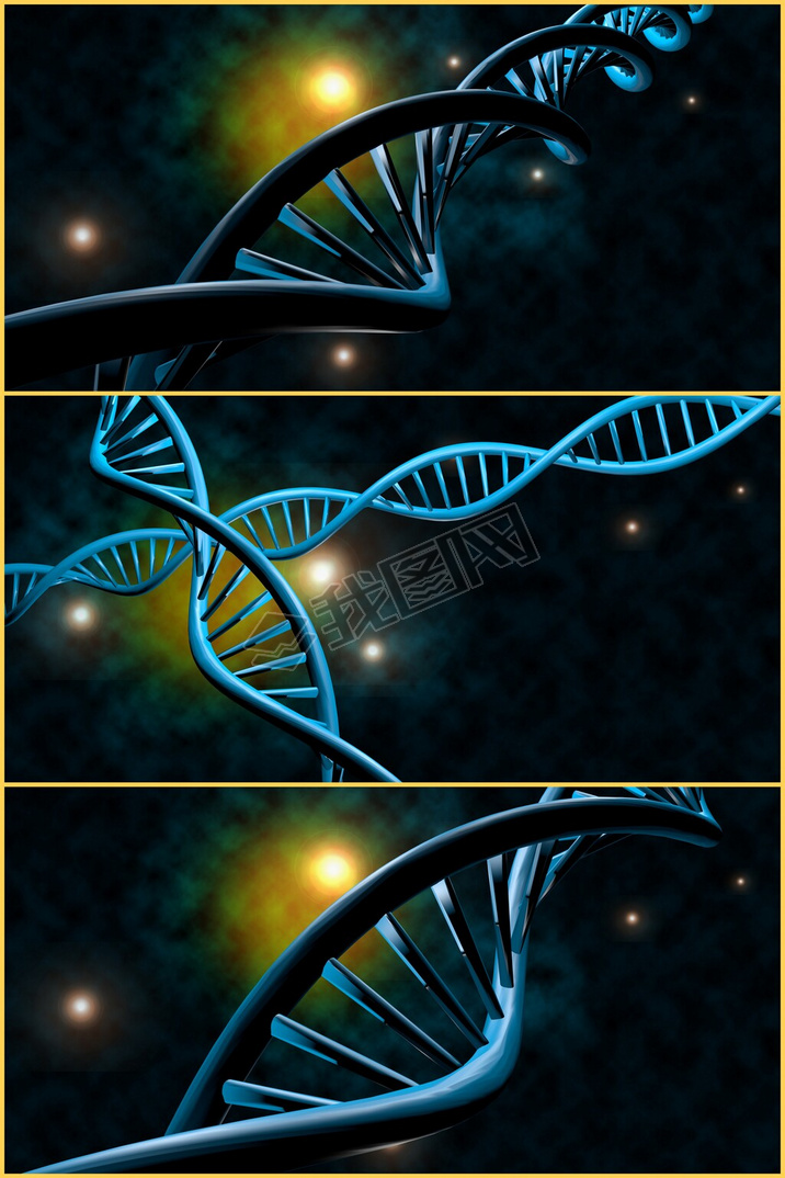 Dnaֽƴ