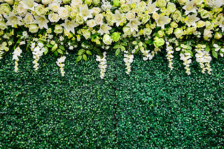 Flower Wedding is background weddingday