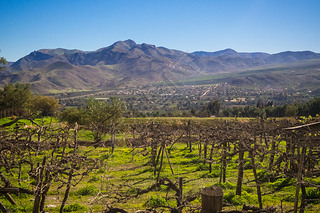 ٻתΪѽʱ԰ƽ𲩵ɳĮ˹ɽ elqui valley