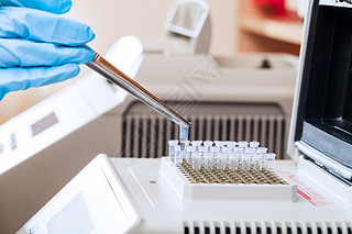 Ϊ pcr dna 