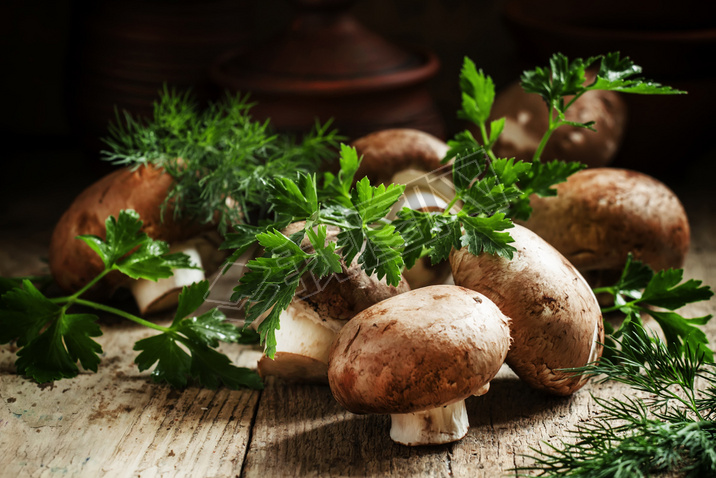 Royal brown mushrooms with a sprig of parsley and dill 