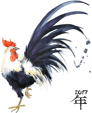Rooster. Rooster Year. 2017 Chinese New Year of the Rooster. Watercolor Illustration. Rooster Chines