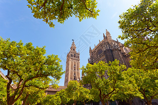 ú giralda 