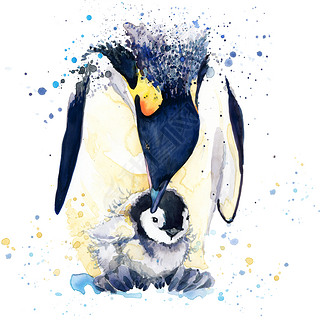 emperor penguin T-shirt graphics. emperor penguin illustration with splash watercolor textured backg