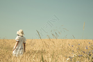 Summer dreams. Girl walking in a field of wheat with blue sky re