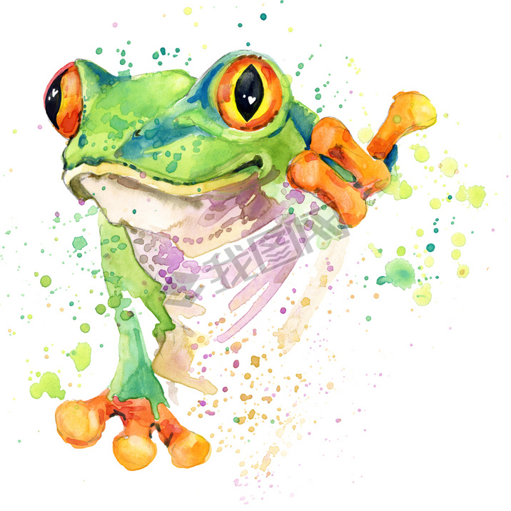 Funny frog T-shirt graphics. frog illustration with splash watercolor textured background. unusual i