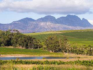 Stellenboschlandscape ˹̩ײ˹