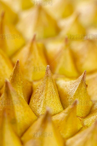 ��Ӳ��������Ǵ�