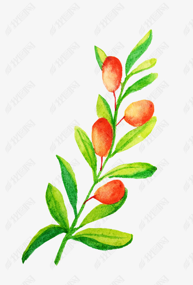 手绘红色果子插画