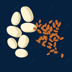 创意卡通中药设计插画白芍