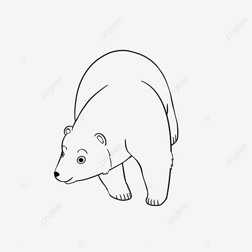 bear clipart black and white ͨ߸ˣС
