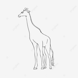 giraffe clipart black and white ߸峤¹ɰֻ