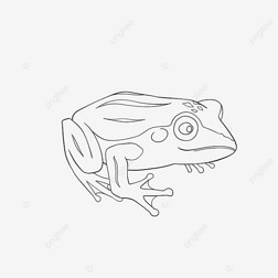 frog clipart black and white ɰܺڰ׼