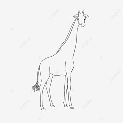 giraffe clipart black and white ߸峤¹ɰֻ