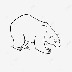 bear clipart black and white ͨͼ