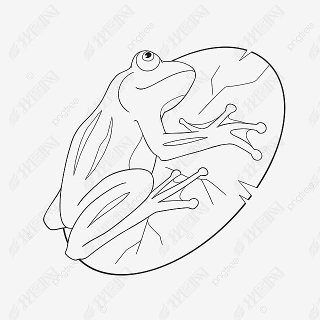 frog clipart black and white ɰҶ