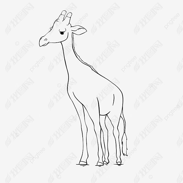 giraffe clipart black and white ߸峤¹վɰͯ