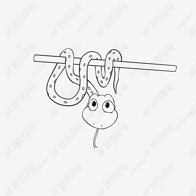 snake clipart black and white ͯС