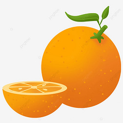 ɫȼֻorangeclipartˮ