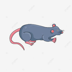 rat clipart ɫ