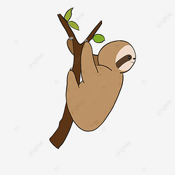 ɫͨsloth clipart