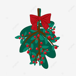 Ҷֲʥmistletoe