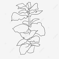 Ҷplant clipart black and white