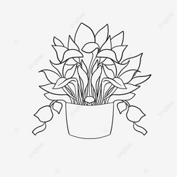 칫ֲplant clipart black and white