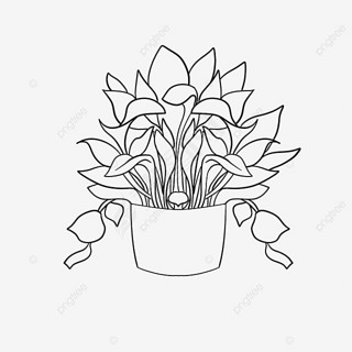 칫ֲplant clipart black and white