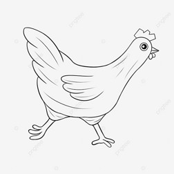 chicken clipart black and white ڰ߸屼ܵļ