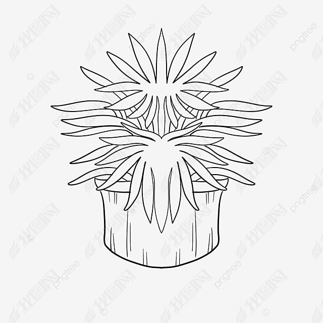 ŽҶҶplant clipart black and white