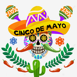 ׼껪ףCinco de Mayo