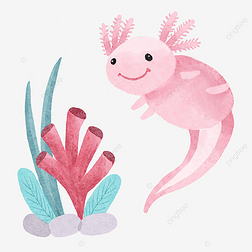 粉鱼图片大全-粉鱼背景图片-我图网