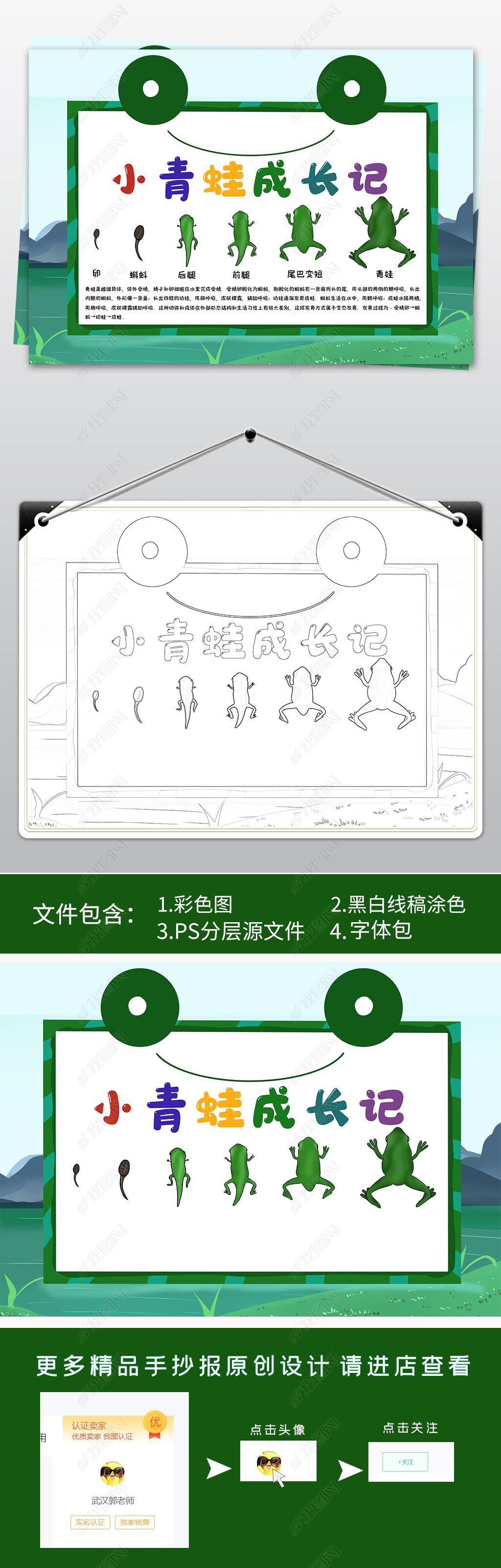 原创小青蛙成长记观察动物小报手抄报电子小报-版权可商用