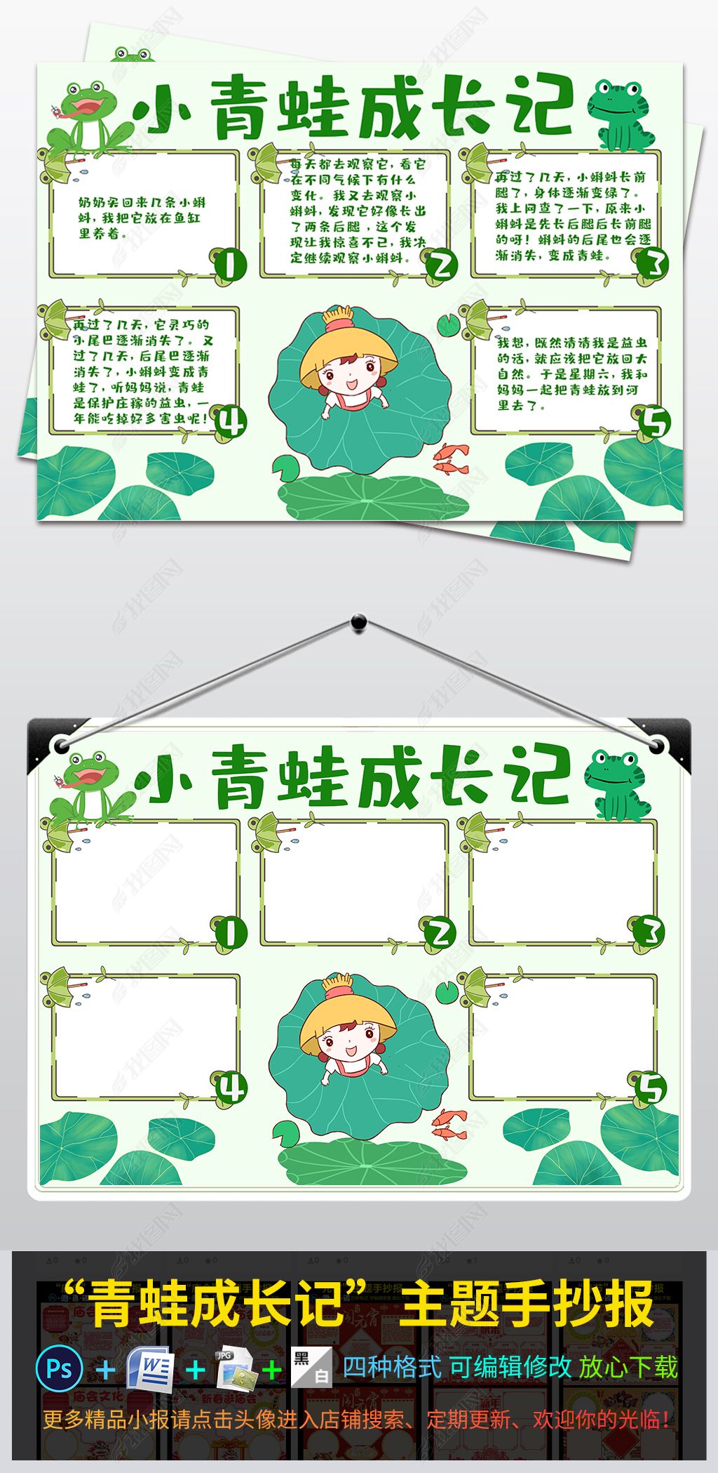 原创小青蛙成长记观察动物小报手抄报电子小报-版权可商用