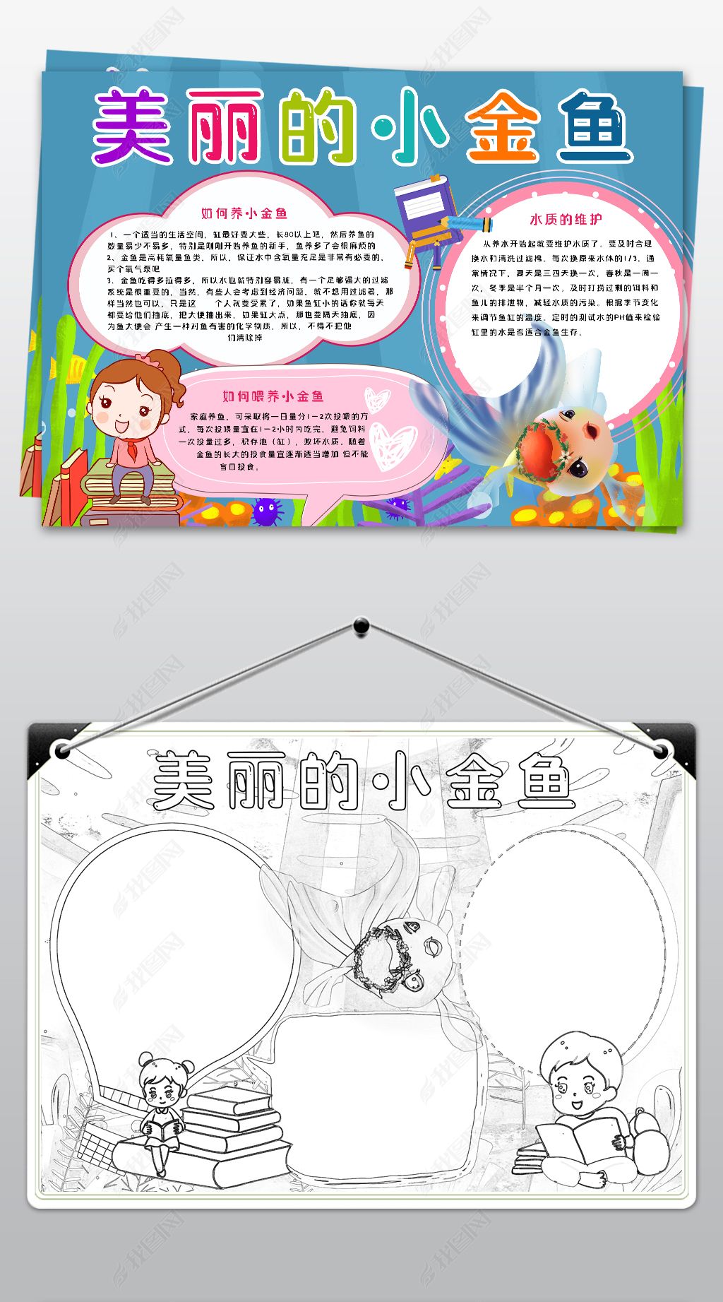 原创ps黑白线描涂色小报美丽的小金鱼成长观察日记