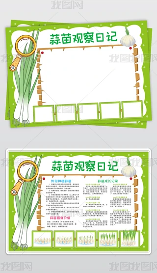 大蒜的奇妙生长日记