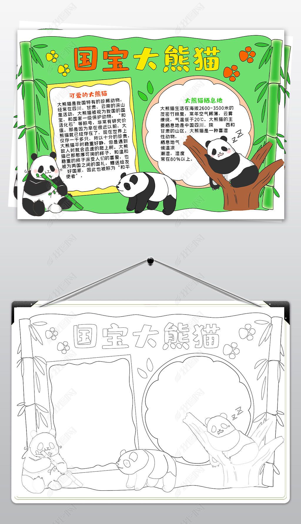 原创国宝大熊猫手抄报小学生爱护动物手抄报模板-版权可商用