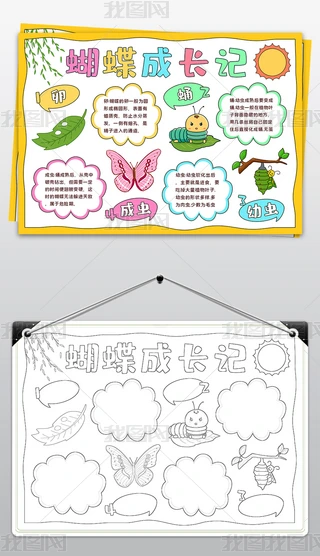 花园里的蝴蝶派对？