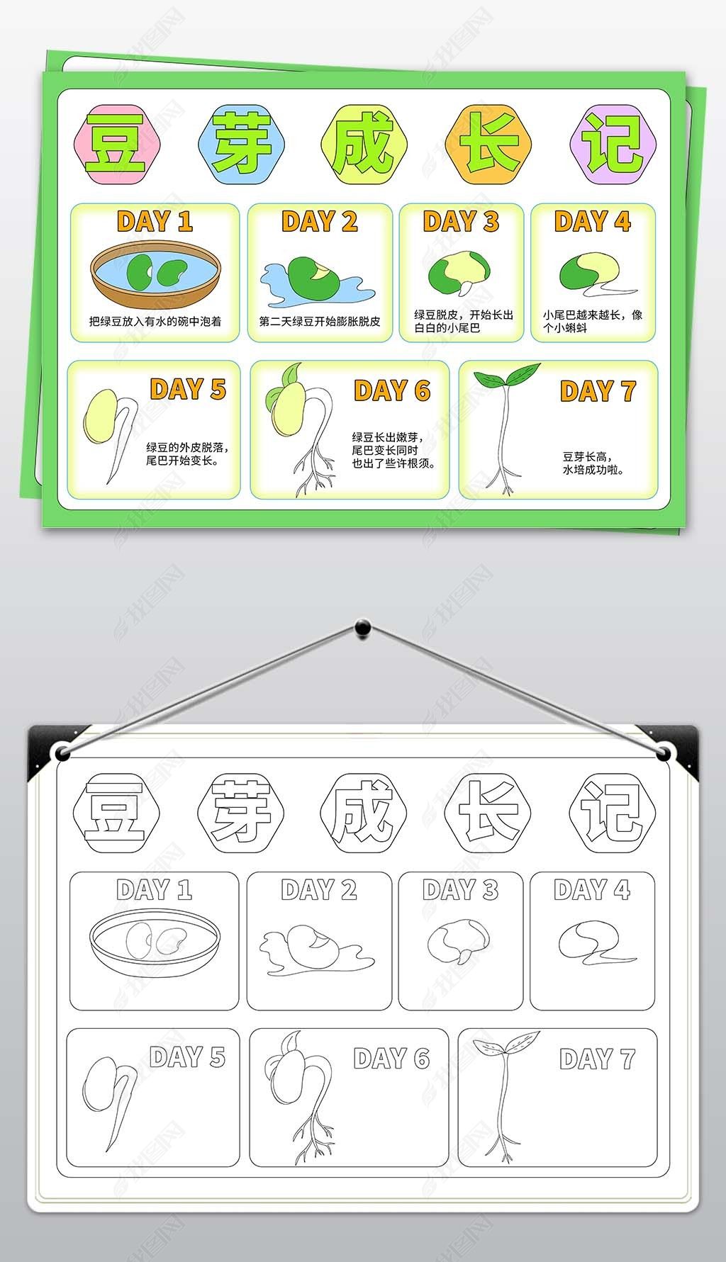 原创豆芽生长日记手抄报成长小报录植物生物手抄报模板