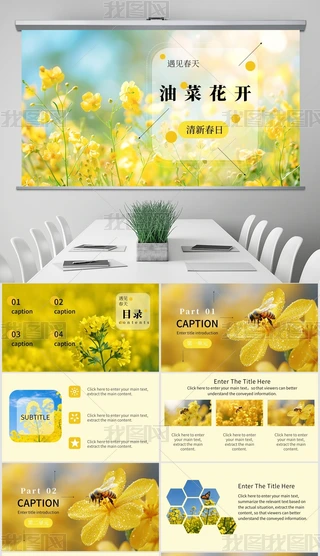 Ͳ˻_(ki)SɫϵL(fng)ͨPPT