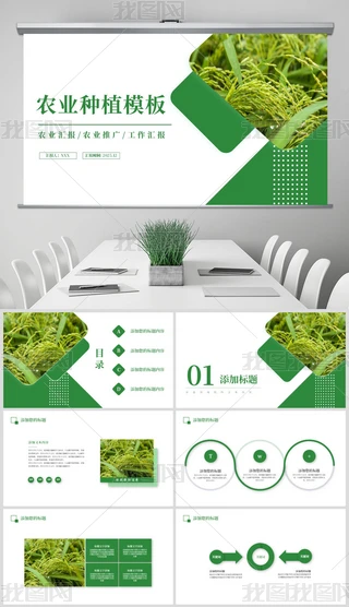 Gɫr(nng)I(y)Rr(nng)I(y)a(chn)ˮNֲpptģ