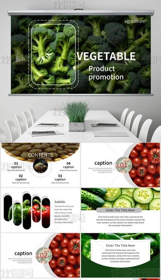 Gɫ߲r(nng)I(y)a(chn)ƷƏVͨPPTģ