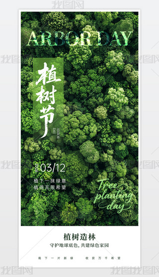 ֲ������������