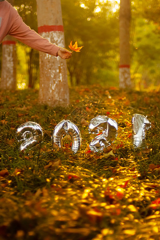 ⾰㡪ɫ2021