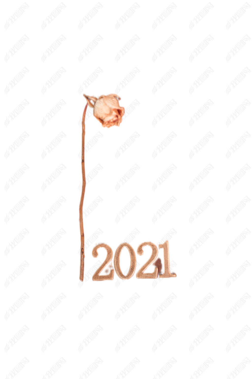 2021Ԫ