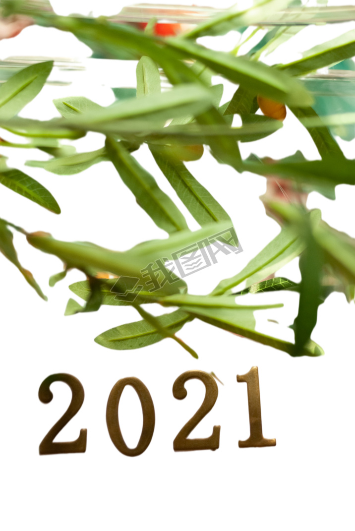 2021Ԫ