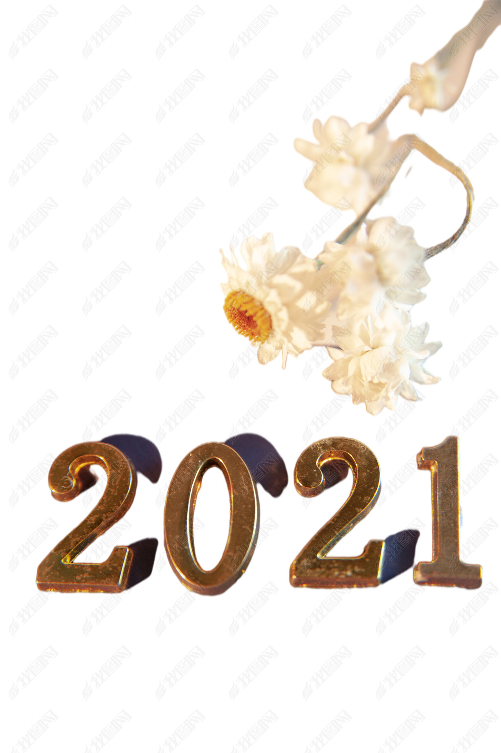 ײɫ2021Ԫ